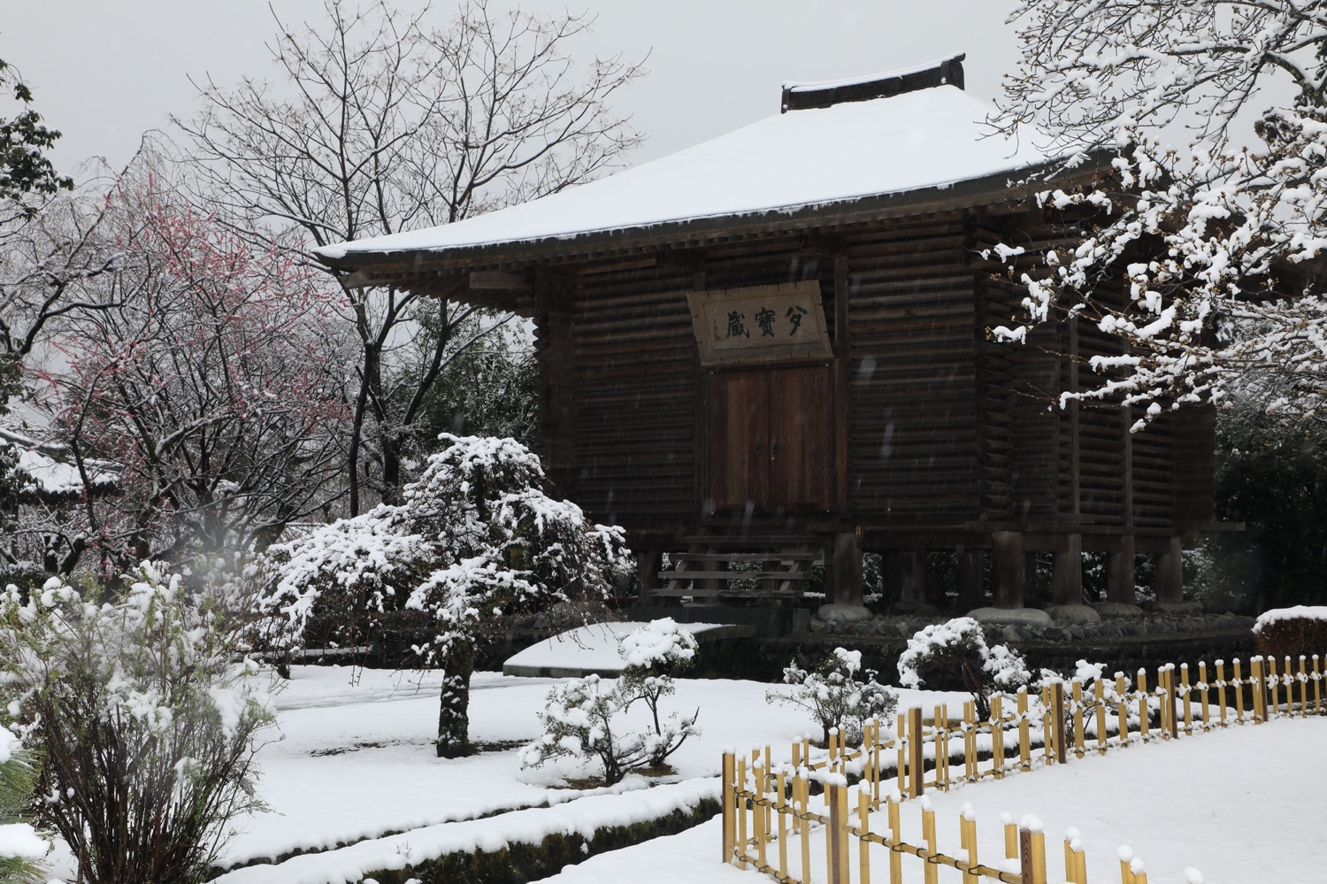 placeholder image-sq