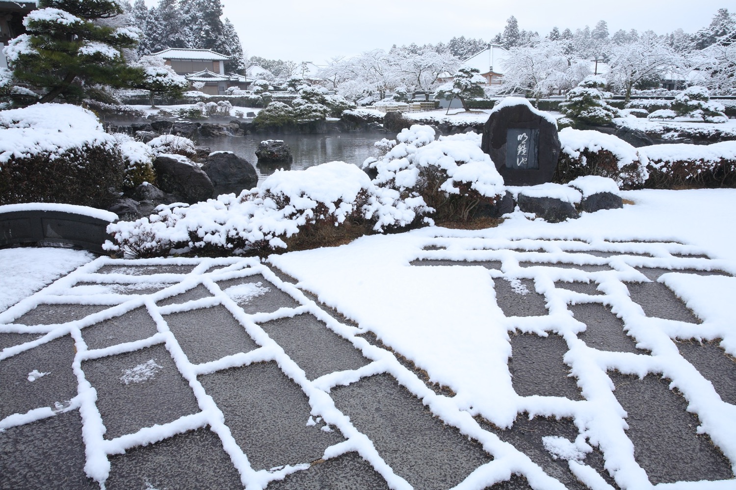 placeholder image-sq