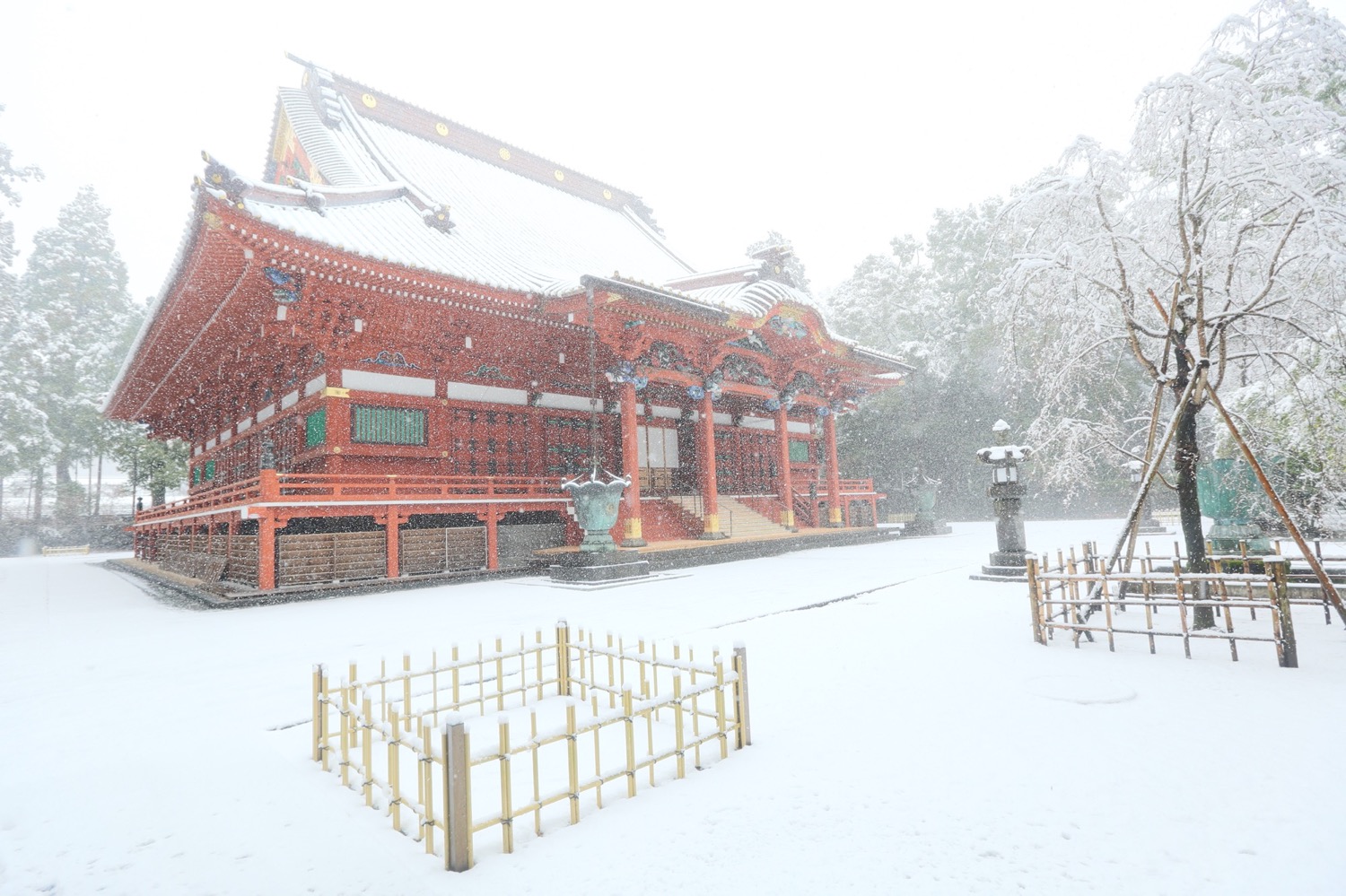 placeholder image-sq