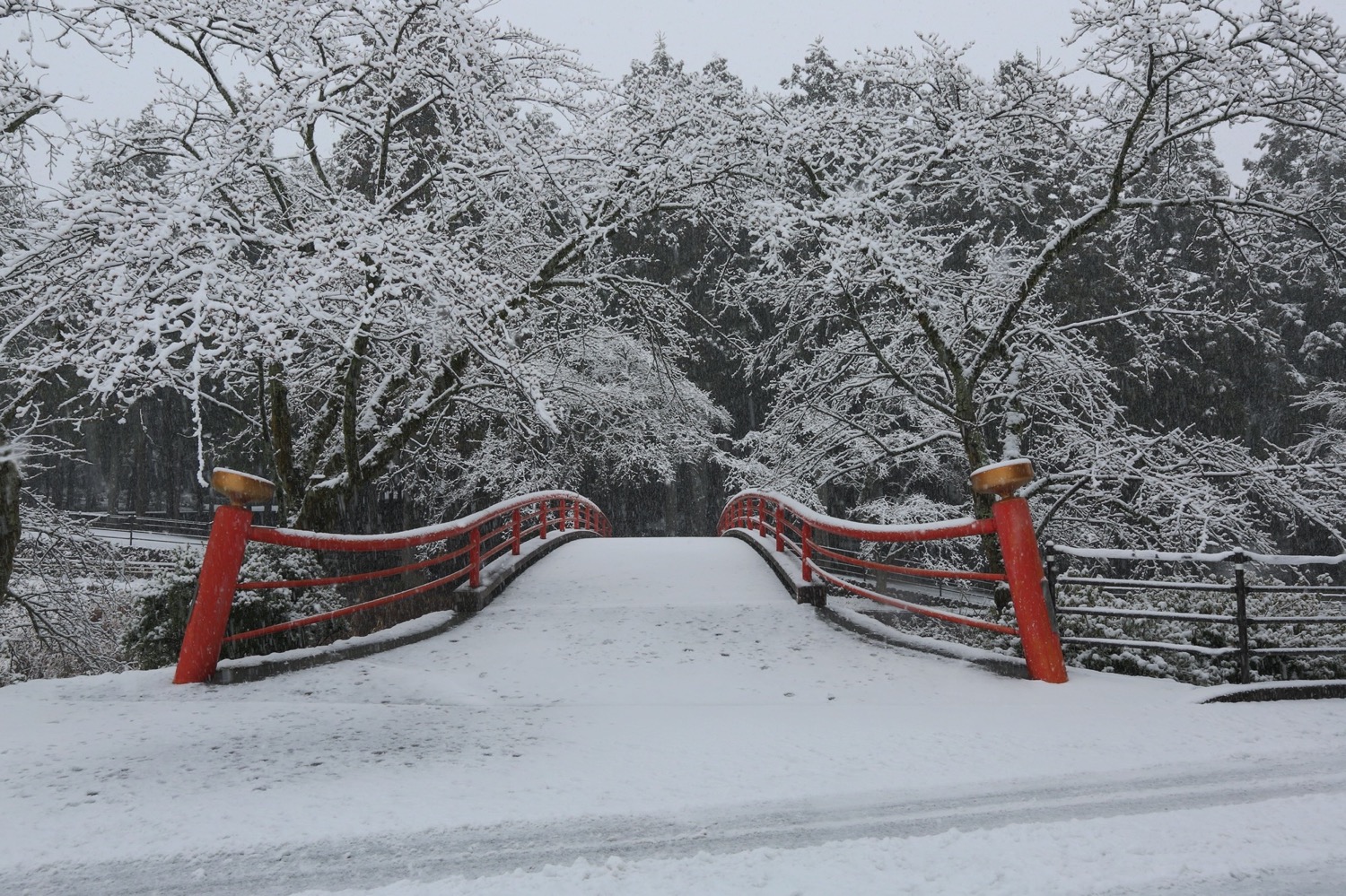 placeholder image-sq