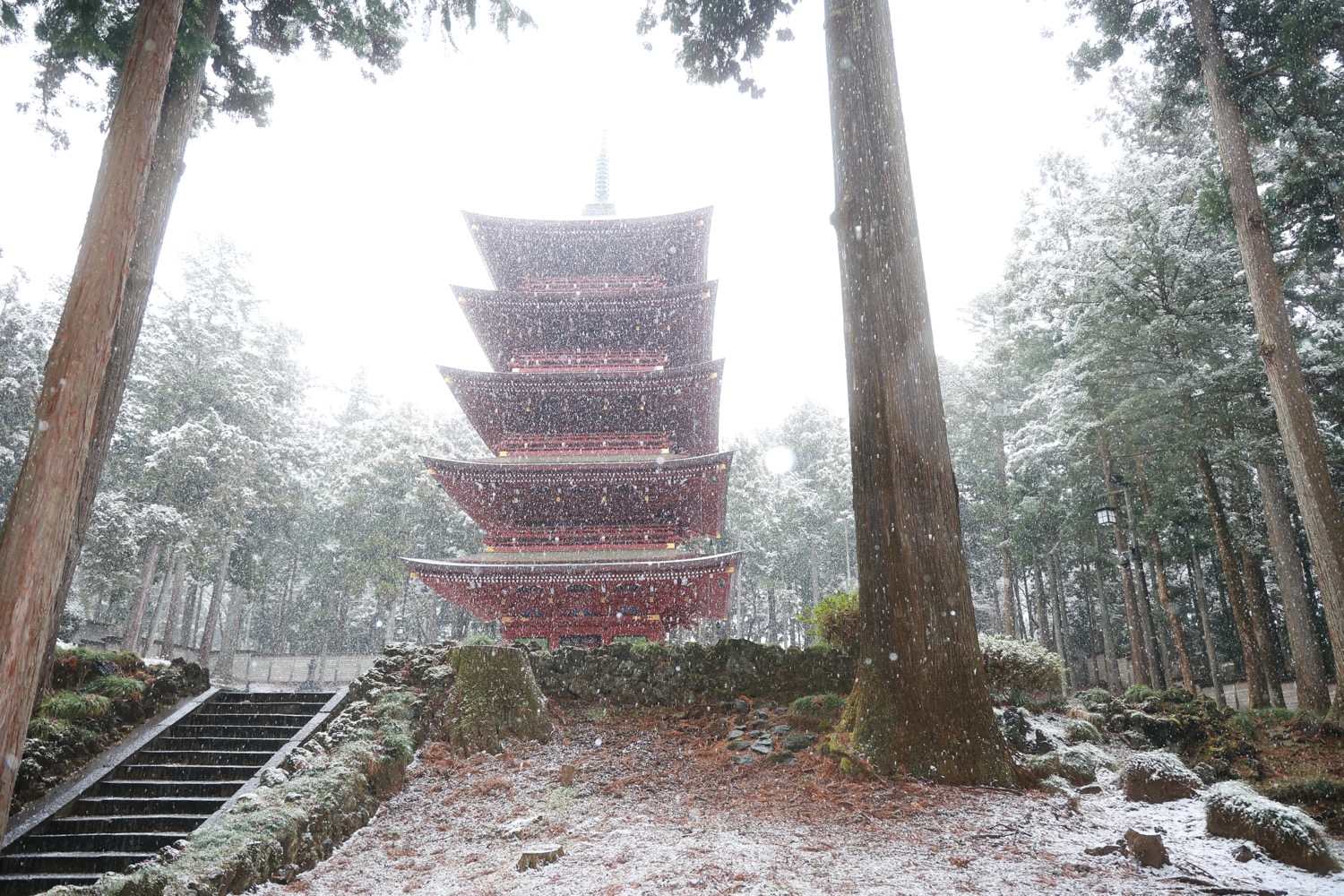 placeholder image-sq