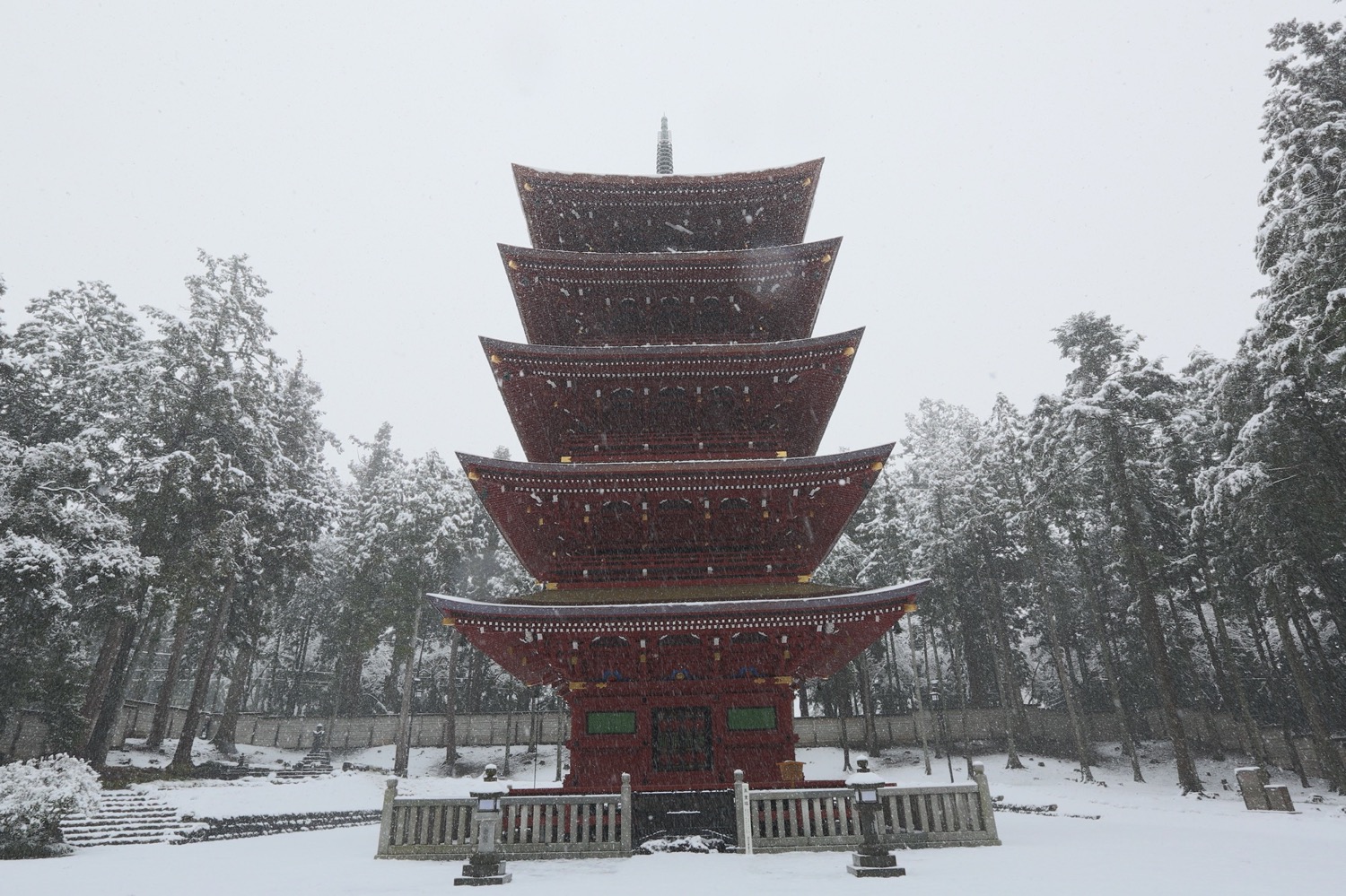 placeholder image-sq