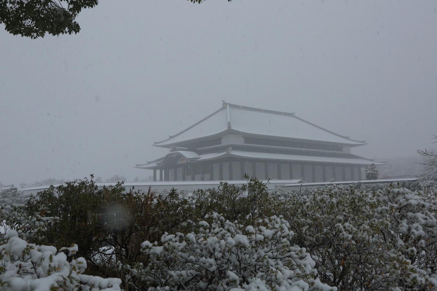 placeholder image-sq