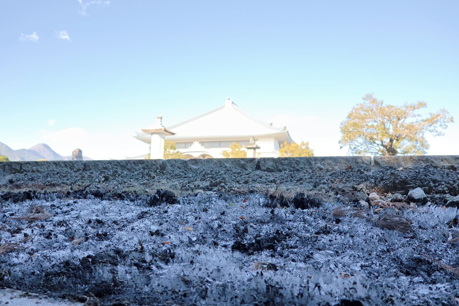 placeholder image-sq