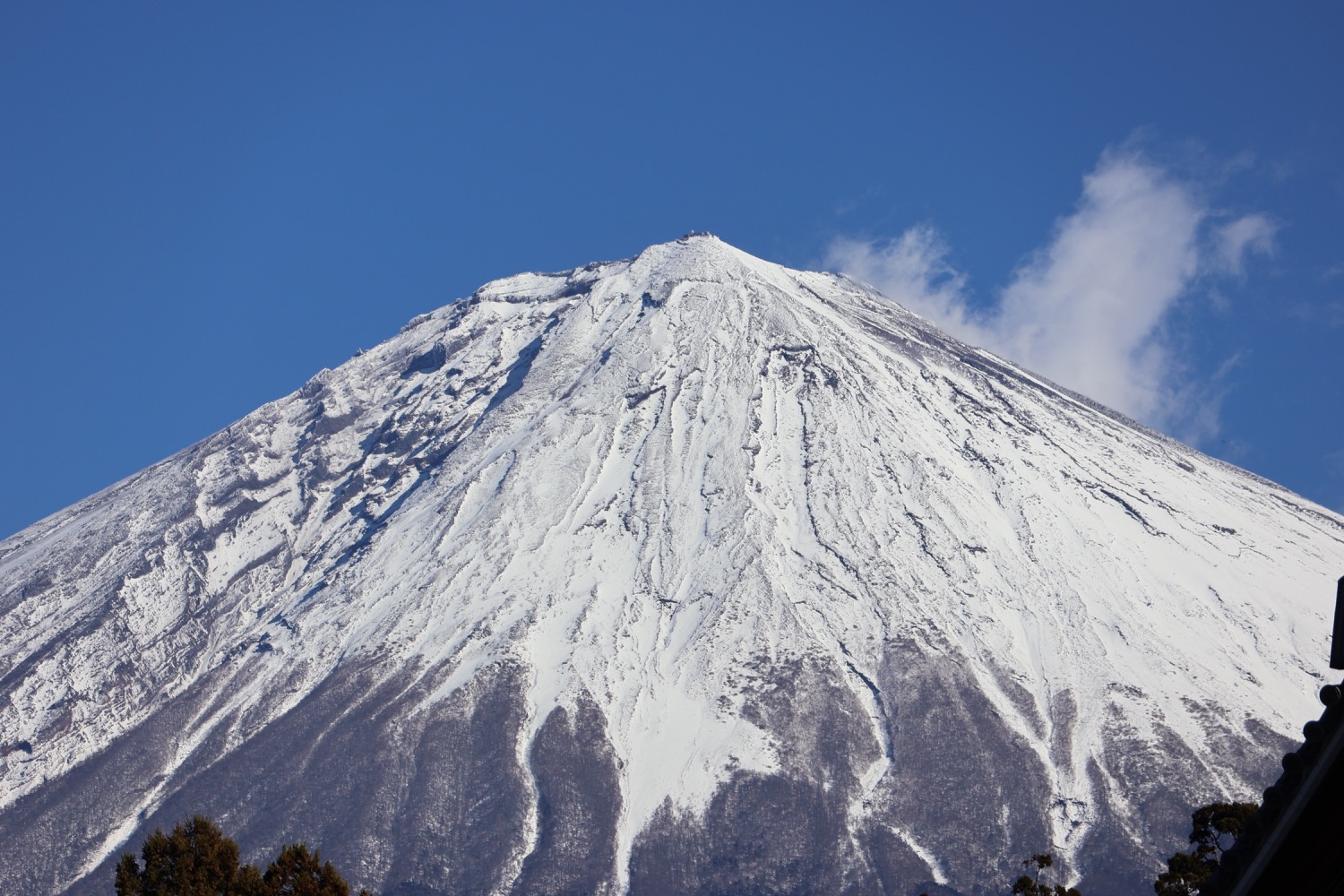 placeholder image-sq