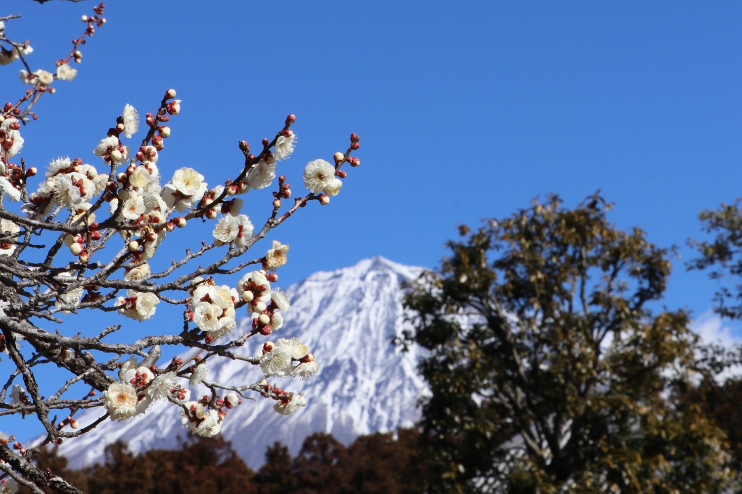 placeholder image-sq